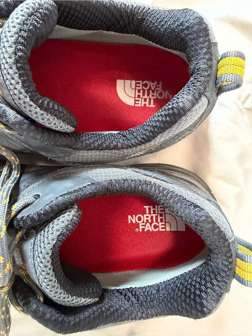 The North Face Men’s Hedgehog Fastpack GTX hiking shoes